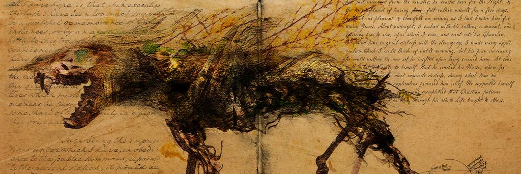 kestrel3156's profile banner image