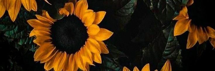 juliscate's profile banner image