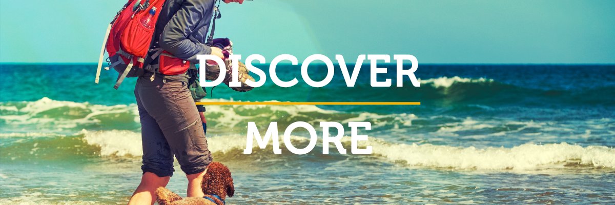 WhisperHotels's profile banner image