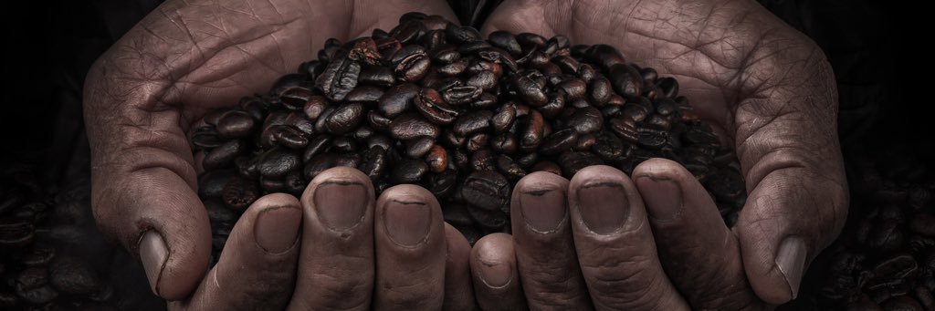 MocinaCoffee's profile banner image
