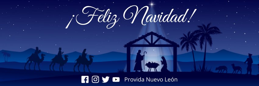ProVida Nuevo León banner