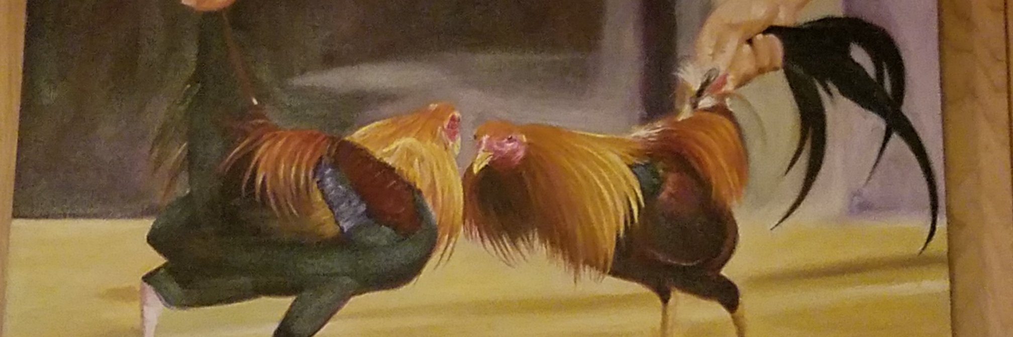 RobioAustin's profile banner image