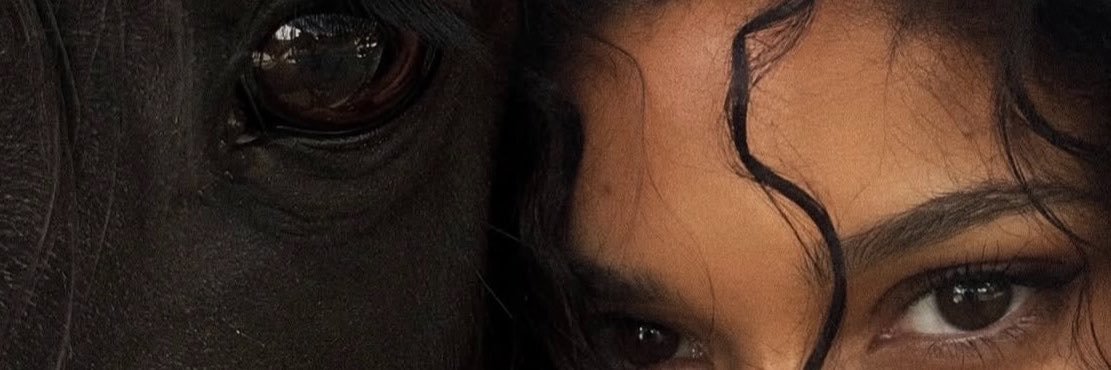 vuadengs's profile banner image