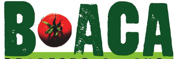 BOACA1 Profile Banner