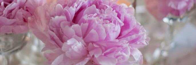 beckymall's profile banner image