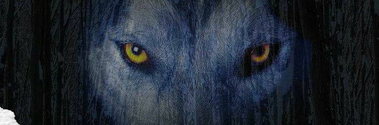 2 Up #BuyLoSellHi banner