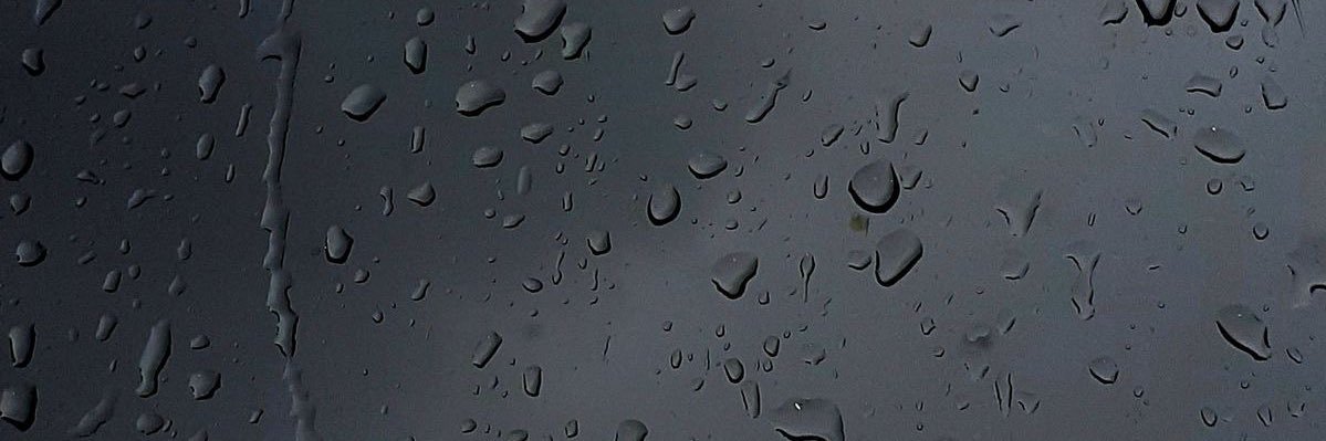 carlladnl's profile banner image