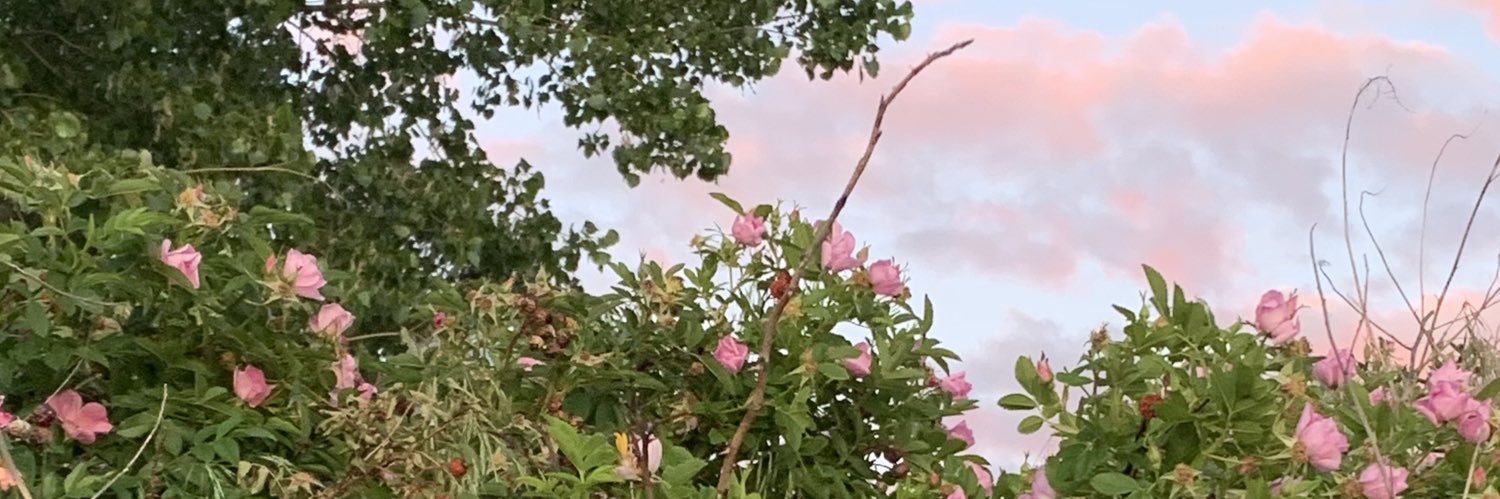 dirtyyybit's profile banner image
