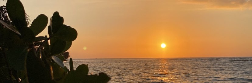haley_malanga's profile banner image