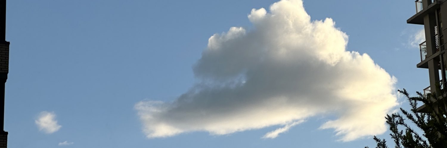 mycosteph's profile banner image