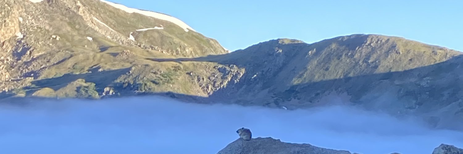 awjaques's profile banner image