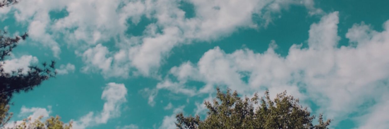 ShannonC8183's profile banner image
