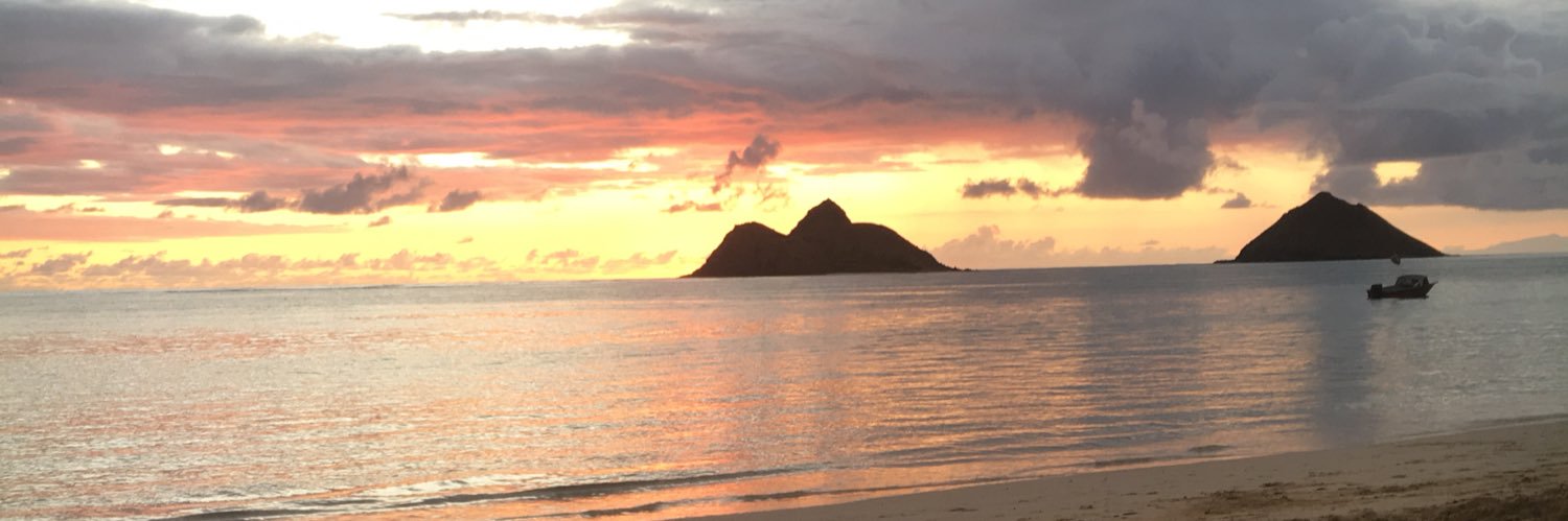 sandschue's profile banner image