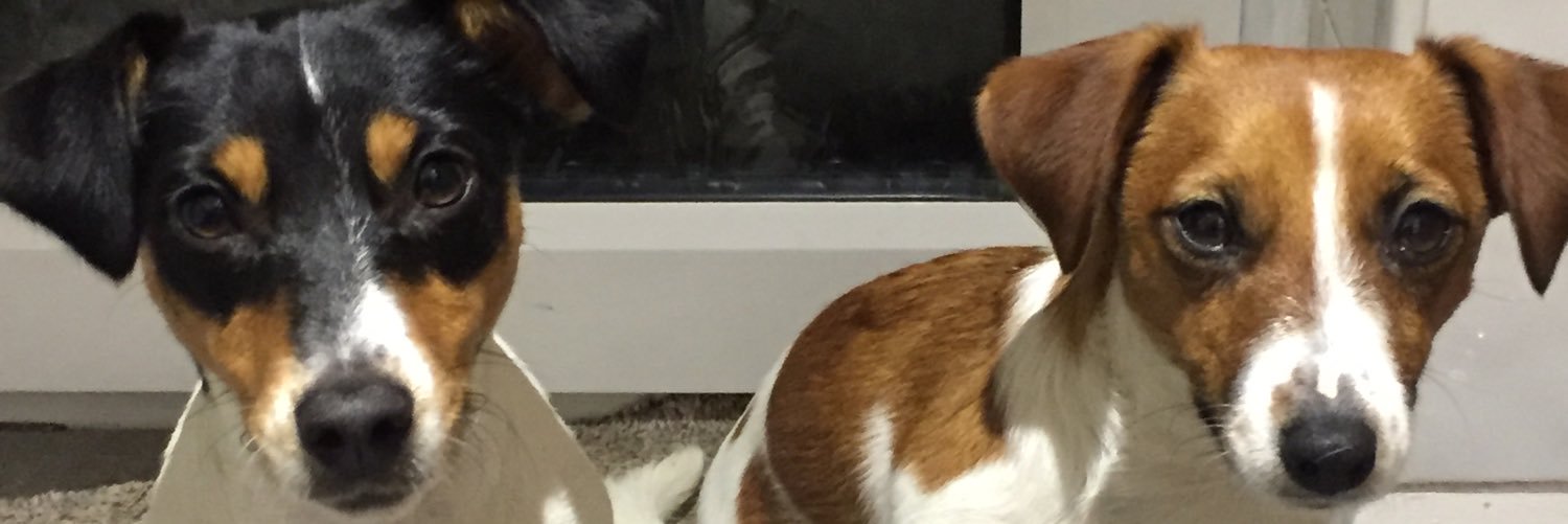 CloAllen's profile banner image