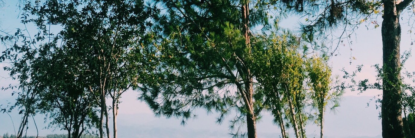 Karol_ota's profile banner image