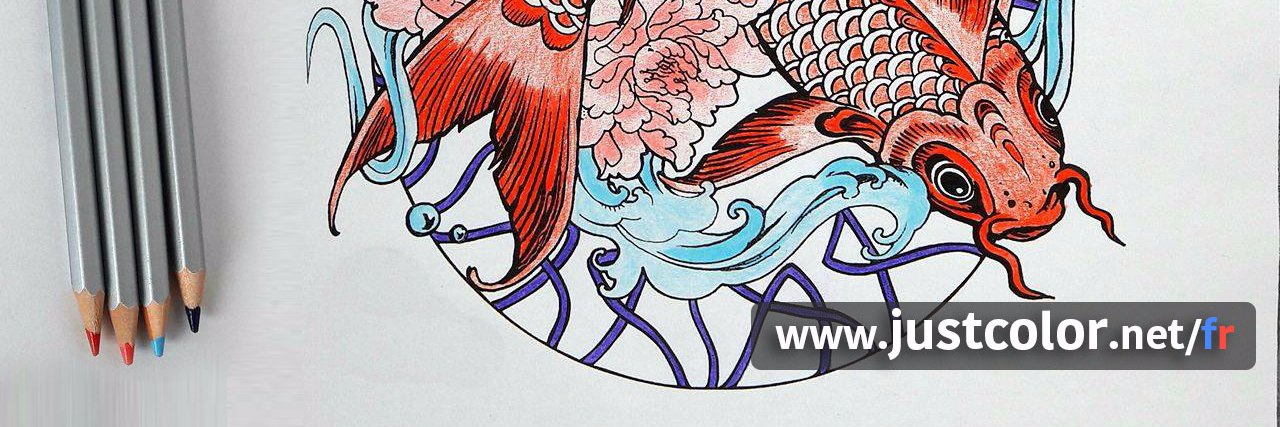 JustColorNetFR's profile banner image