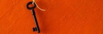 barishoki's profile banner image