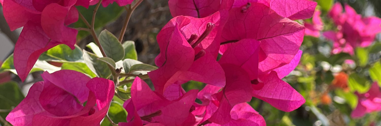 joysii1's profile banner image