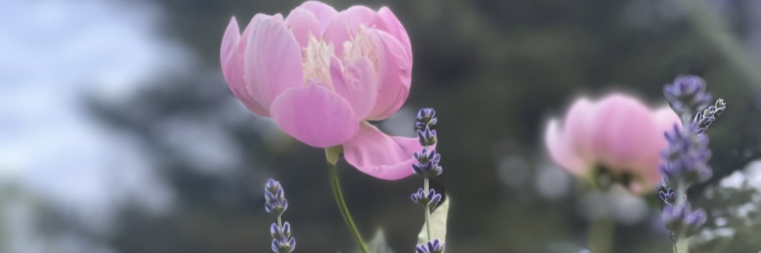 jdarlene_'s profile banner image