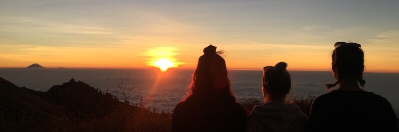 charlottepell's profile banner image