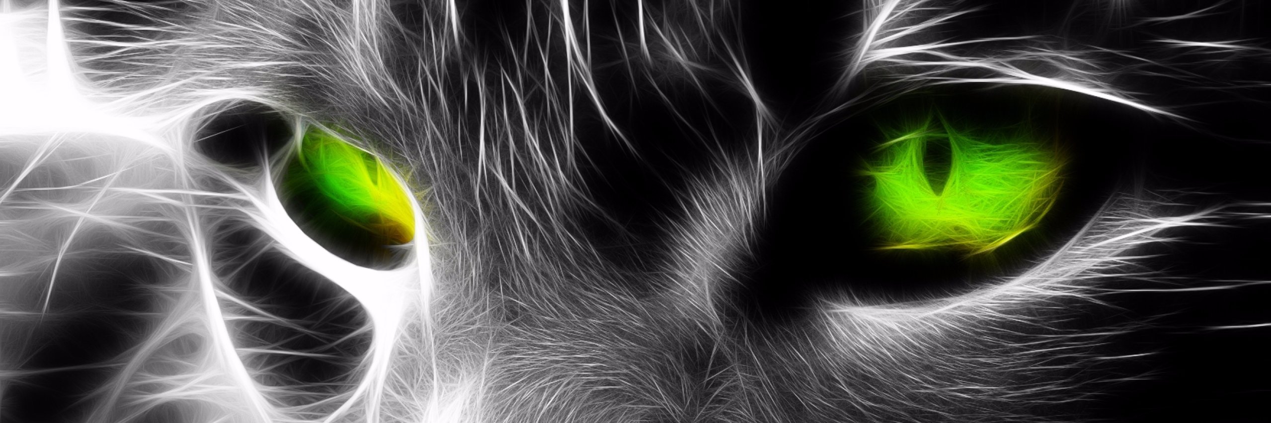 alejk07's profile banner image
