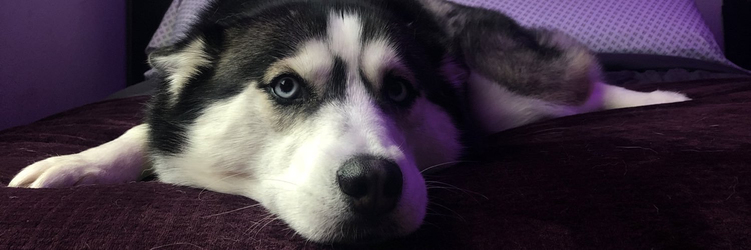ayeitsverry's profile banner image