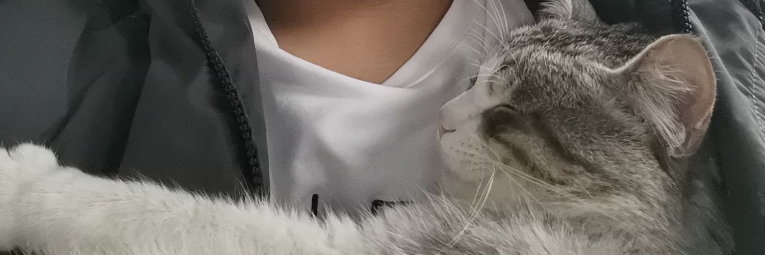 ComYangml's profile banner image