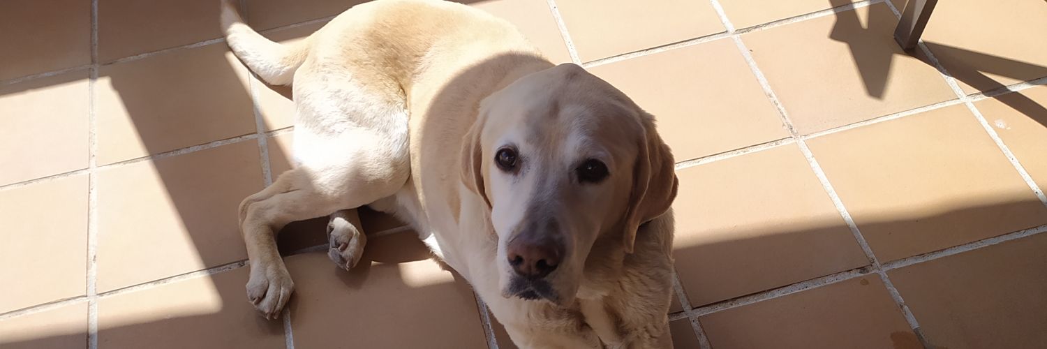 oscarlinde23's profile banner image