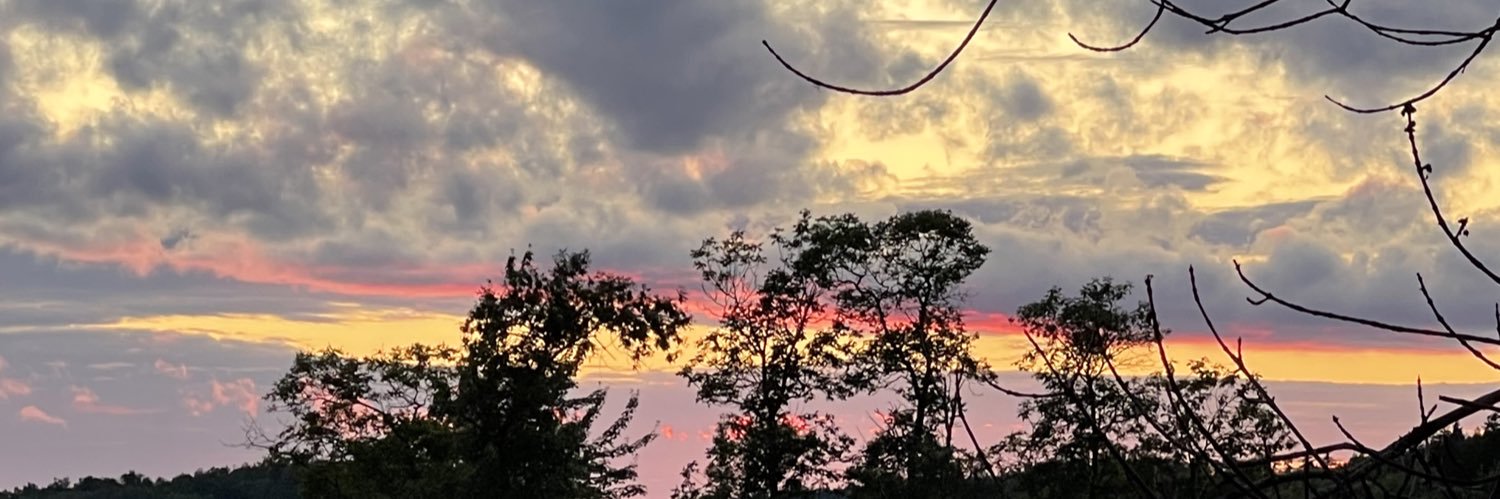 MshM0sh's profile banner image