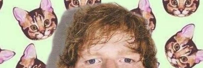 dearestannie's profile banner image