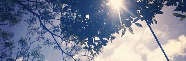 GuadyAylen's profile banner image