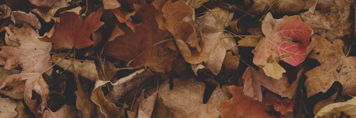hanneycombs's profile banner image