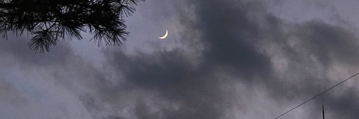 ffdtm's profile banner image