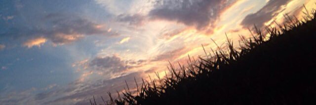 meshe15's profile banner image