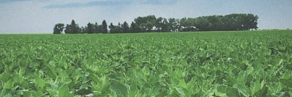 Flad02 Profile Banner