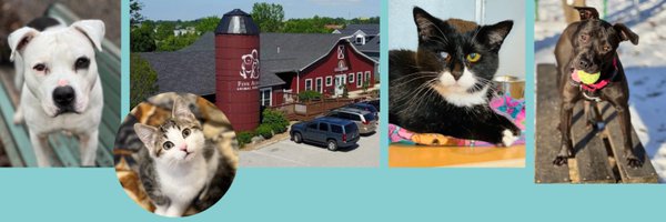 5_Acres Profile Banner