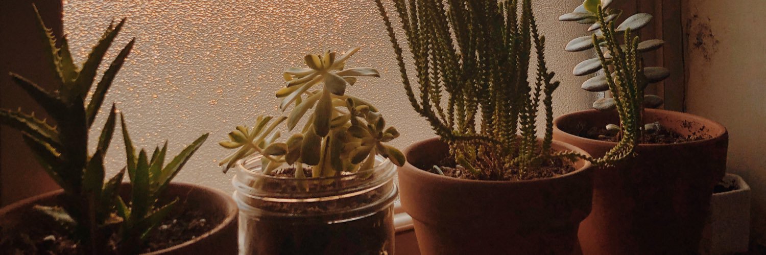 aubs_pat's profile banner image