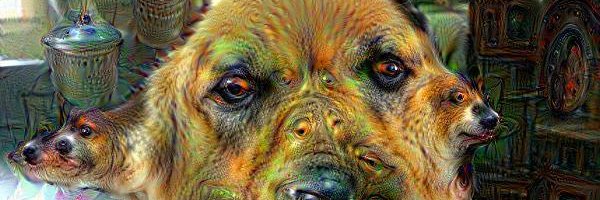 mattfassas's profile banner image