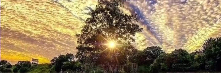 OrdepSiul29's profile banner image