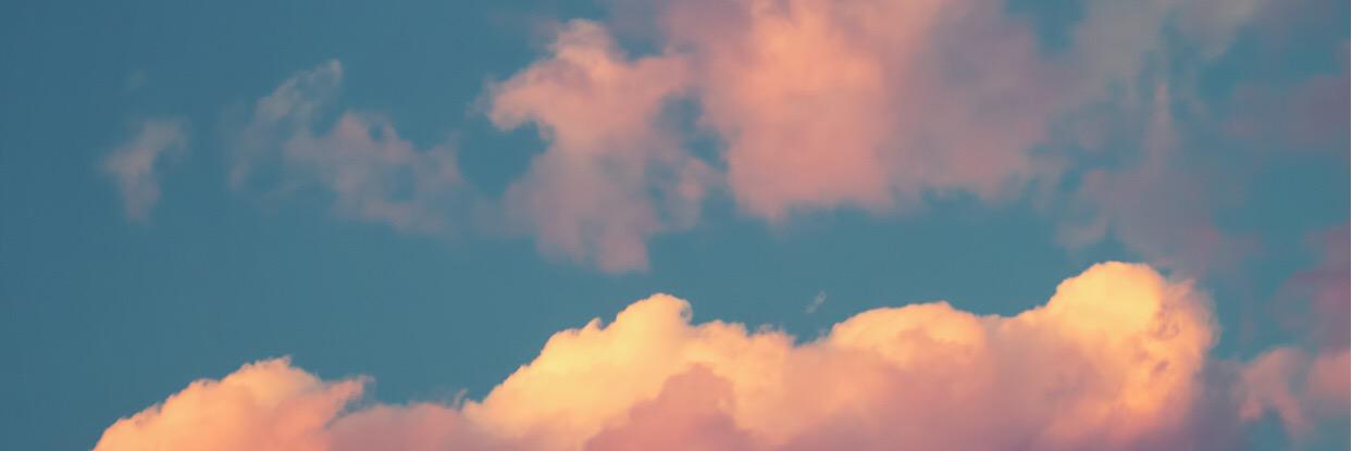 Beachh_Babbee's profile banner image