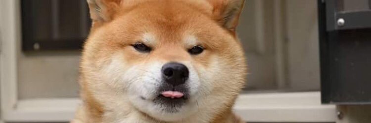 B4TT3R's profile banner image