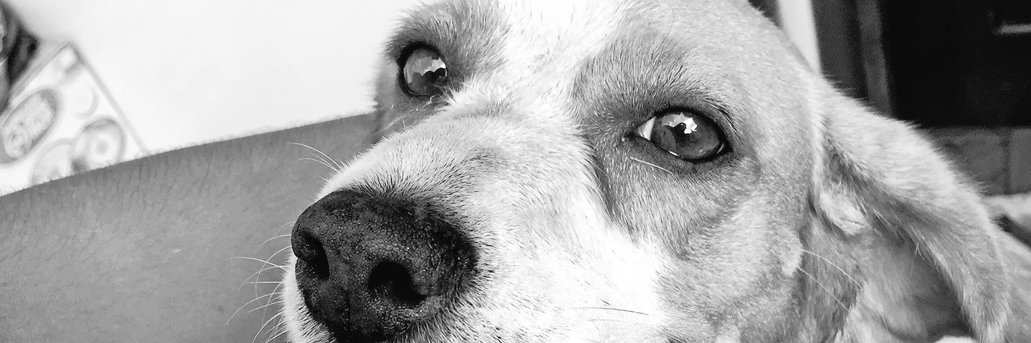 nvalentinarm's profile banner image