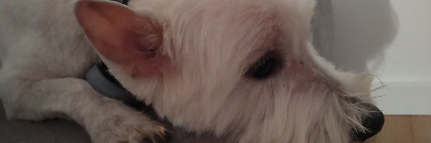 MARWASILEW's profile banner image