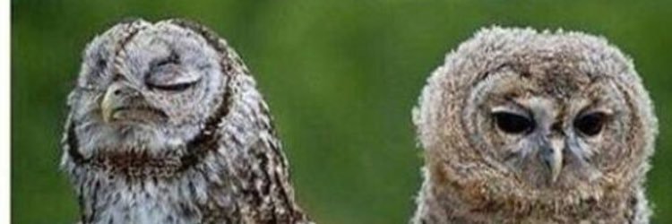 esrabalesra's profile banner image