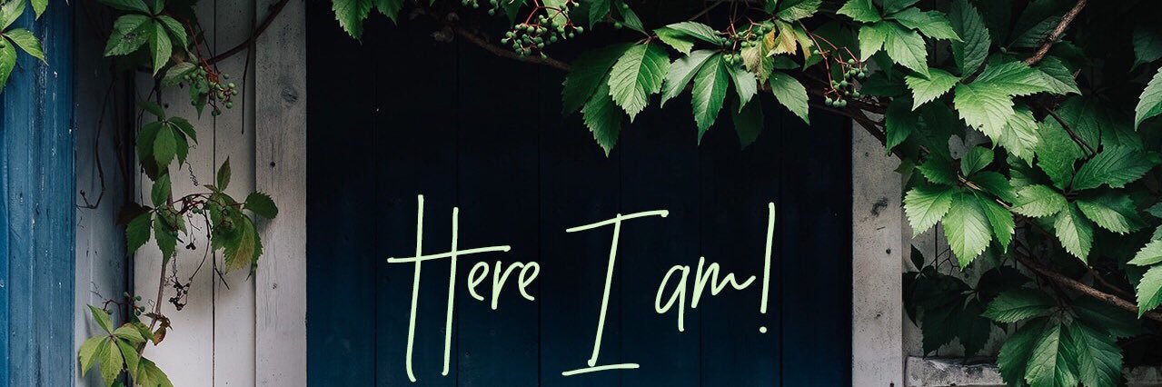 thesweetsafari's profile banner image