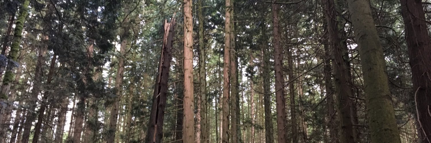 ericamcarthur's profile banner image