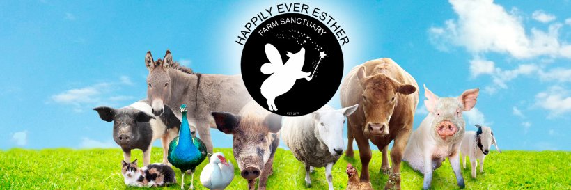 HEEFS_'s profile banner image