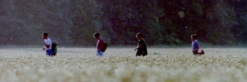 Patches_Mc_Wiley banner