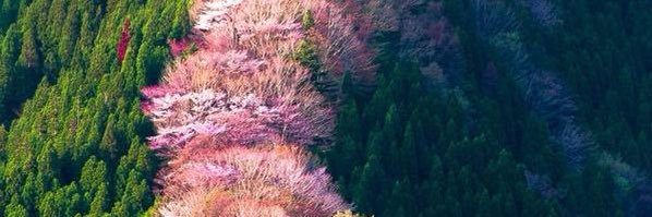 LillyGreem's profile banner image