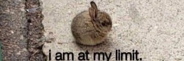 chelledoza_'s profile banner image
